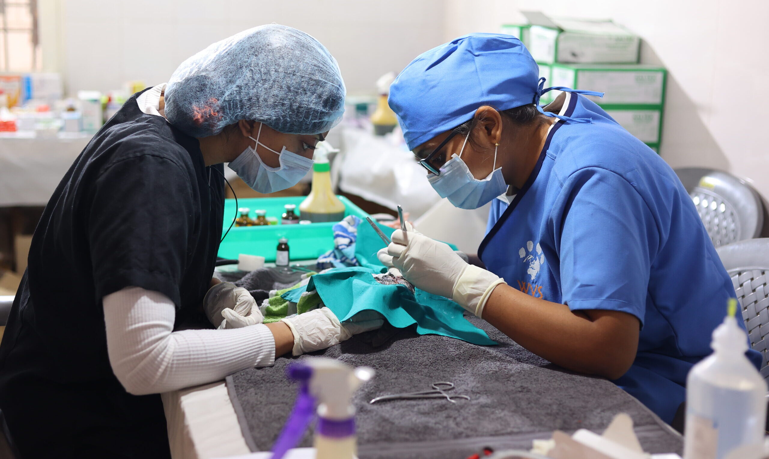 Image hover effect image