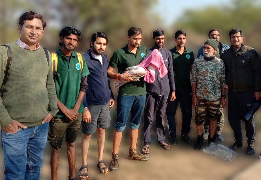 Image hover effect image