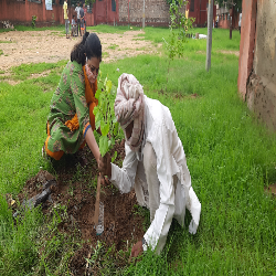 converted 20210807 071004