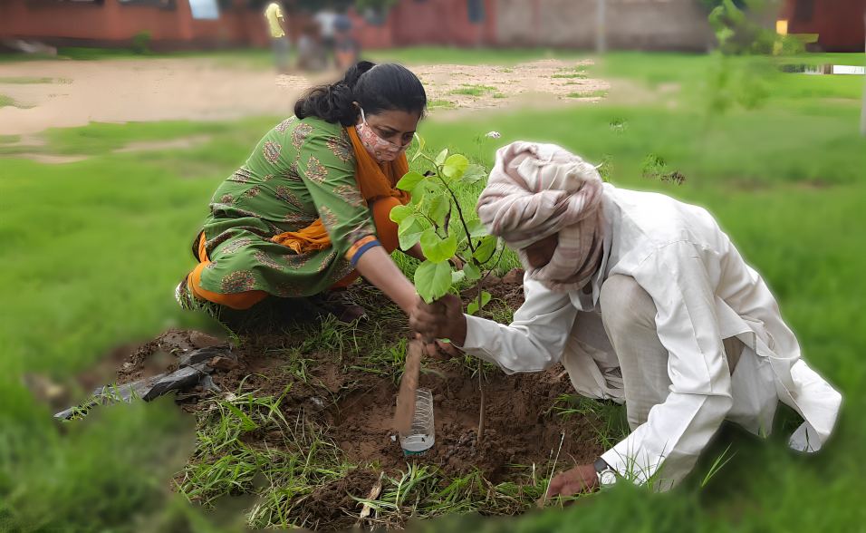 Image hover effect image