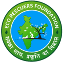 eco rescuers